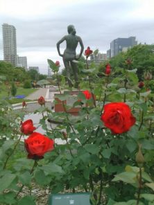 ２０１６．６．１６　12丁目１