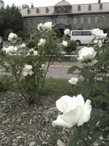 2016.6．16　12丁目４