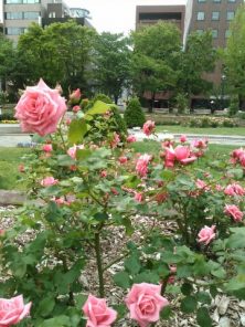 2016.6．1612丁目６