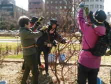 4月10日のバラボランティア3