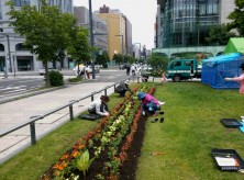 花壇ボランティア１