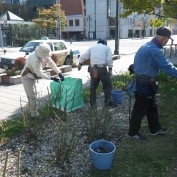 20151017（バラボランティア）