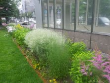 2丁ボーダー花壇の様子