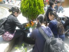 3丁目のコンテナの寄せ植えしている