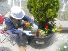 3丁目コンテナを寄せ植えしている