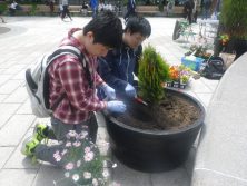 3丁目コンテナを寄せ植え