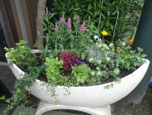 7丁目コンテナ１