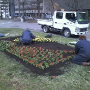 7丁目の春花壇