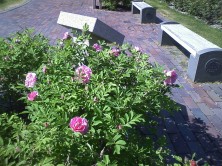 １２丁目マイカイ