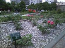 サンクガーデン