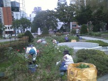 バラボランティア