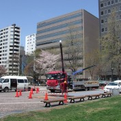 ライラックまつり準備西7丁目