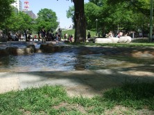 9丁目の遊水路の画像