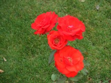 オリンピックファイヤー