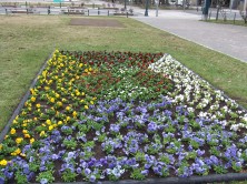 ７丁目北西春花壇