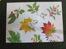 メッセージカード紅葉