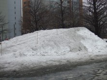 ソリ山　３月１０日　１