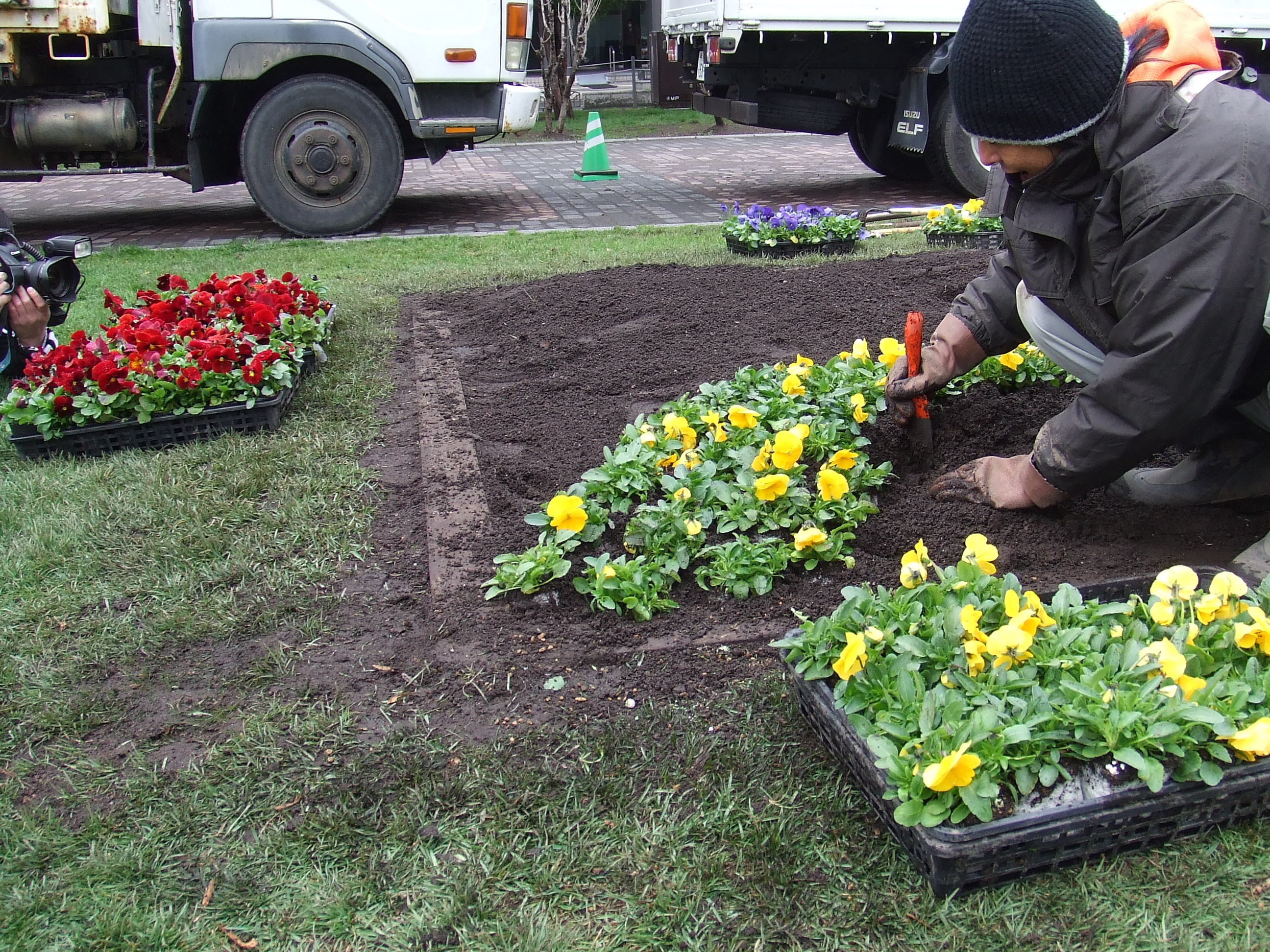西7北東中央花壇