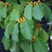 2015.910.3 ２丁目フジ