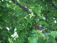 ２０１６　5　２９