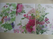 樹木のクリアファイル