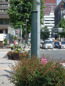 西4丁目イッサイサルスベリ