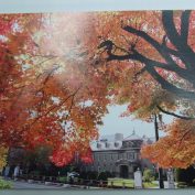 秋の西１２丁目