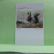 和子ポストカード　りす