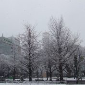 2016/12/02　雪景色