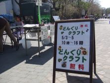 20170503　どんぐり1