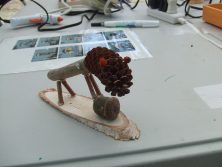 20170503　どんぐり3