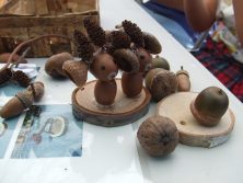 20170503　どんぐり4