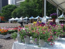 2017623　西7　その２