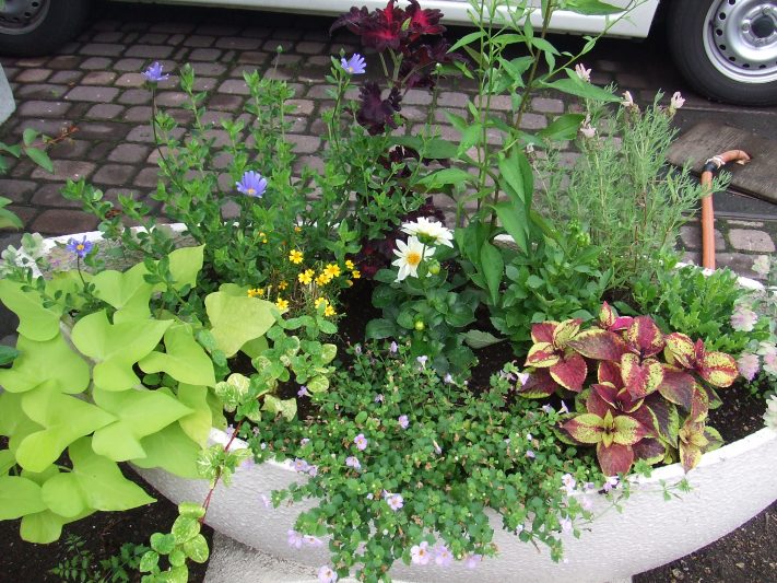 ７．１７　売店コンテナ