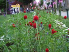 201784　西4　ﾎﾞｰﾀﾞｰ