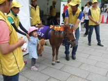 2017811　西4　ﾎﾟﾆｰ2