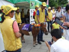 2017811西4ﾎﾟﾆｰの画像