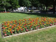 201791　西7南東花壇