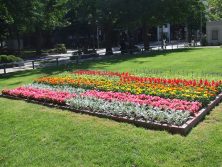 201791　西7北東花壇