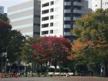 ７丁目１０／９