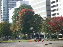 ８丁目１０／９