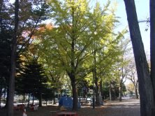 2017.10．21西8丁目