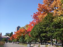 2017.10.21西12丁目西