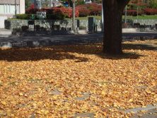 2017.10．21西11丁目