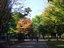 2017.10．21西6丁目