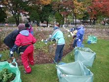 バラボランティア