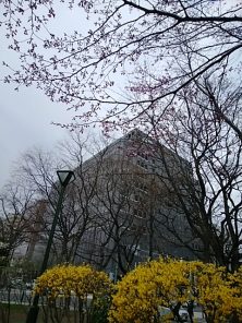 2018424　西6　ﾚﾝｷﾞｮｳ