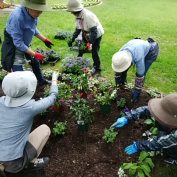 花壇維持管理ボランティアの活動の様子
