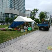 花フェスタの花壇造成