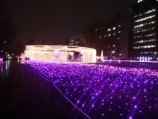西4丁目会場のイルミネーションの様子の画像